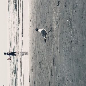 Meet your Posher, Martin